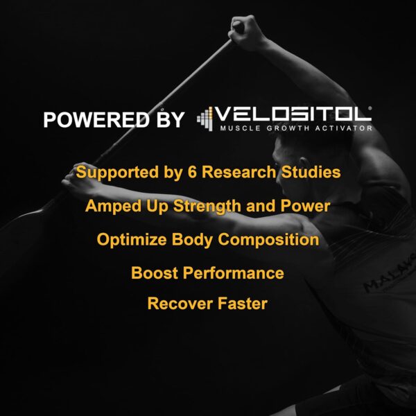 Vegan Sport Protein Powder Chocolate 20 servings – 30g Plant Based Protein, VELOSITOL, BCAAs, Organic Greens & Fruits, Probiotics, Tart Cherry for Post Workout Recovery, Inform Sports Certified Keto
