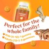 BeLive Turmeric Curcumin with Black Pepper & Ginger - 500 mg of Turmeric and Ginger Supplement for Immune Support, Healthy Skin, and Joint Health - Tropical Flavor | 60 Count