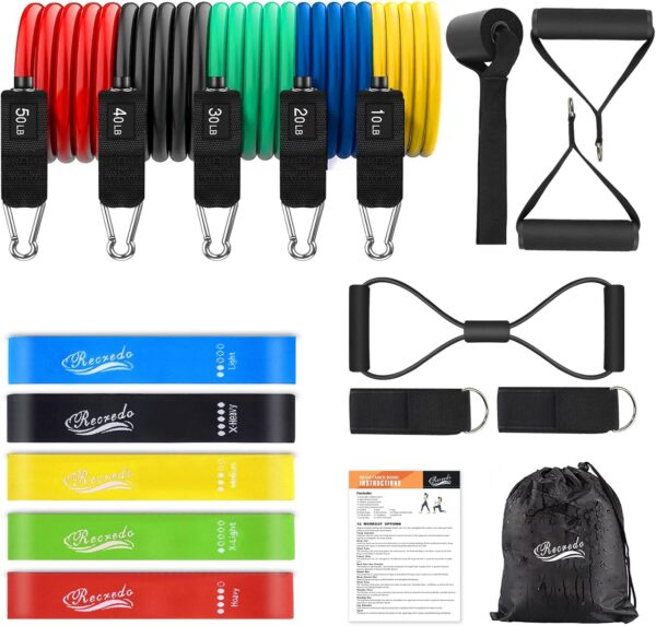 Resistance Bands Set 17pcs, Resistance Band, Exercise Bands Fitness Workout with Wide Handles, Door Anchor, Steel Clasp, Carry Bag, Ankle Straps for Home Gym Outdoor Travel