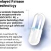 Dr. Berg 60 Billion Probiotic Supplement - Supports Occasional Constipation, Diarrhea, Gas & Bloating* - Pre and Probiotics for Digestive Health - 30 Probiotic Capsules