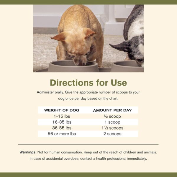 Super Gut Biotics Canine Digestive Supplement,Probiotics, Prebiotics, Supports Healthy Digestion, Immune System Function and Gut Flora by Katherine Heigl (30 Scoops)