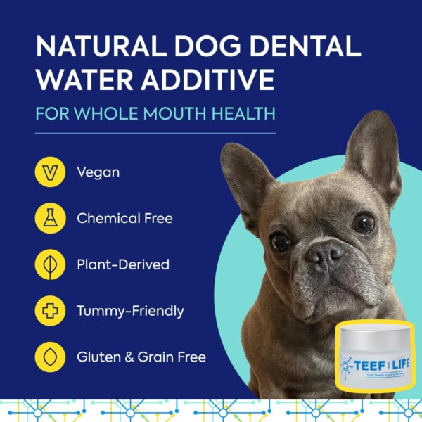 Teef For Life Protektin42 Plant-Derived Prebiotic Dental Powder for Dogs, Daily Dental Care, Clinically-Proven Formula Naturally Fights Plaque and Tartar, Refill Packet with 30 Servings