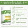Health Plus Super Colon Cleanse Original Formula (1991-2018), 15 oz Powder, 42 Servings - Natural Detox, Digestive Support, Constipation Relief & Gentle Gut Cleanse
