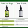 Go Nutrients Intestinal Edge - Gut Cleanse for Humans with Wormwood, Black Walnut, Clove & More - Liquid Drops for Digestive Support - Non-GMO Tincture - 2oz