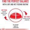 Royal Canin Feline Care Nutrition Dental Care Dry Cat Food, 6 lb bag