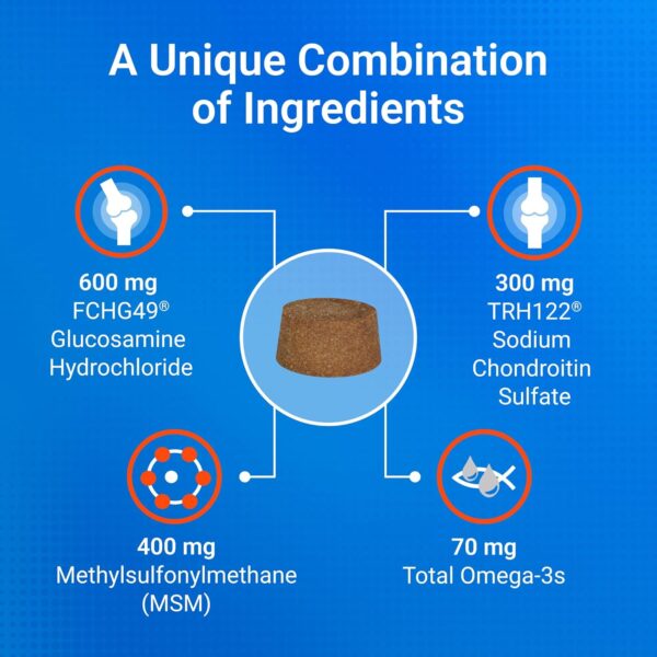 Nutramax Cosequin Joint Health Supplement for Dogs - With Glucosamine, Chondroitin, MSM, and Omega-3's, 60 Soft Chews