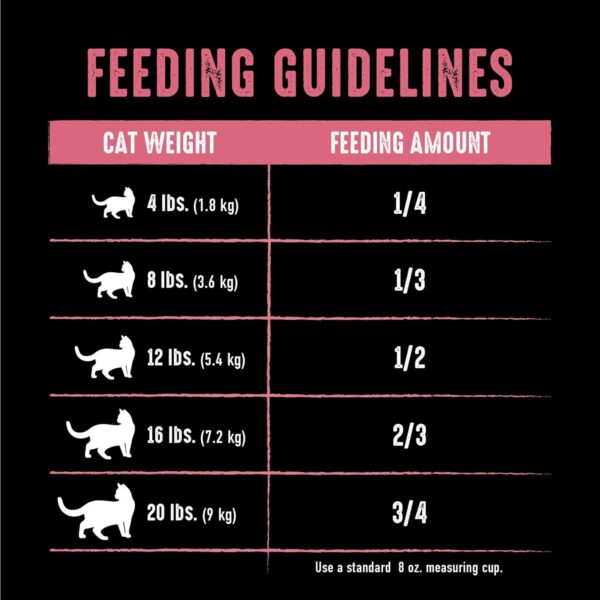 CRAVE Grain Free Indoor Adult High Protein Natural Dry Cat Food with Protein from Chicken & Salmon, 2 lb. Bag