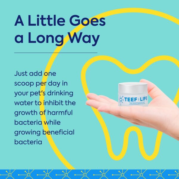 Teef For Life Protektin42 Plant-Derived Prebiotic Dental Powder for Dogs, Daily Dental Care, Clinically-Proven Formula Naturally Fights Plaque and Tartar, Refill Packet with 30 Servings