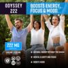 Odyssey 222 Energy Drink, Pre Workout, 222mg Caffeine, Clean Energy Drinks, L Theanine, Lions Mane, Cordyceps & Green Tea for Energy, Focus & Mood Boost, Low Calorie, Blue Raspberry, 12 Fl oz, 12 Pack
