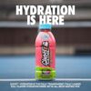GHOST Hydration Drink, Kiwi Strawberry - RTD Sports Drinks with Electrolytes for Hydration - Beverage for Athletes - Zero Caffeine & Zero Sugars - 16.9 Fl Oz, 12 Pack