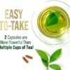 Green Tea Extract Capsules 1000mg 98% Standardized EGCG - 3X Strength for Natural Energy - Heart Support with Polyphenols - Gentle Caffeine - 240 Capsules