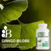 Bronson Ginkgo Biloba Extra Strength Supports Brain Function & Memory Support, 360 Vegetarian Capsules