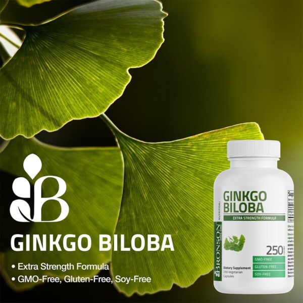 Bronson Ginkgo Biloba Extra Strength Supports Brain Function & Memory Support, 360 Vegetarian Capsules