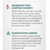 NEURIVA Plus Brain Supplement for Memory and Focus Clinically Tested Nootropics for Concentration for Mental Clarity, Cognitive Enhancement Vitamins B6, B12, Phosphatidylserine 30 Capsules