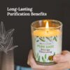 Magnificent 101 Set of 3 Long Lasting Pure Sage Smudge Candles - 42-Hour Burn, 3.5 Oz Each, Soy Wax, Sage Cleansing for House Energy, Meditation & Manifestation