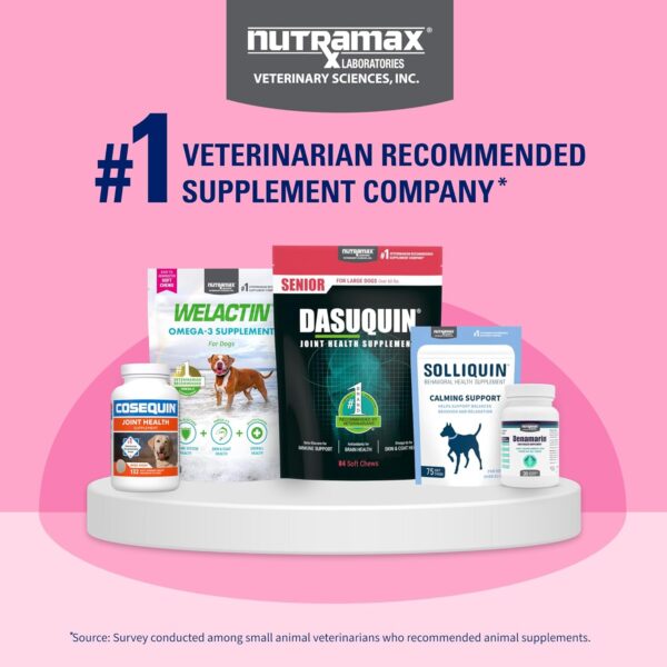Nutramax Proviable Digestive Health Supplement Multi-Strain Probiotics and Prebiotics for Cats and Dogs - with 7 Strains of Bacteria, 80 Capsules, blue