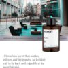 Scentify Bliss Aroma Oil Refill Scent for Oil Diffusers - Eucalyptus, Bergamot, Tea & Powdery Scents - Luxurious Relaxing Aromatherapy Diffuser Fragrance 100ml, 3.38 oz