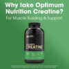 Optimum Nutrition Micronized Creatine Monohydrate Capsules, Keto Friendly, 2500mg, 300 Capsules (Packaging May Vary)