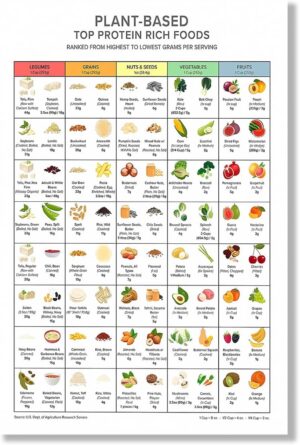 Rich Plant-based Protein Chart Wall Art Top Protein Foods Poster Keto Diet Meal Planning High Proteins Guide Print Vegetable and Fruit Protein Guide Poster Unframed 12x16inch