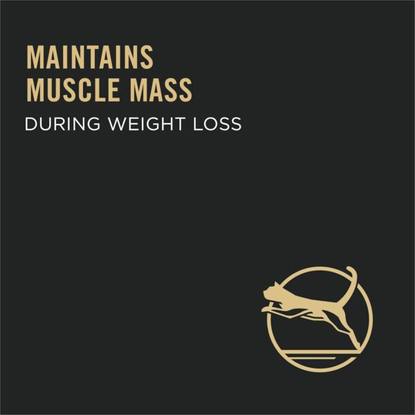 71nYHT887KL._AC_SL1500_.jpg Purina Pro Plan Weight Control Dry Cat Food, Chicken and Rice Formula - 7 lb. Bag