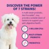 Nutramax Laboratories Proviable Digestive Health Supplement Multi-Strain Probiotics and Prebiotics for Dogs, With 7-Strains of Bacteria, 60 Chewable Tablets