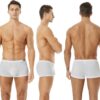 Mens Silky Underwear Short Leg Boxer Briefs Pack Health to Wear