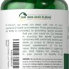 Carlyle Moringa Oleifera | 180 Capsules | Non-GMO and Gluten Free Supplement | Complete Green Superfood | from Moringa Leaf Powder
