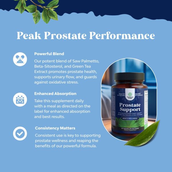 Herbal Prostate Supplement for Men - Potent Pygeum and Saw Palmetto Extract with Beta Sitosterol & Green Tea for Urinary Tract Support - Male Health Blend for Frequent Urination - 90 Capsules