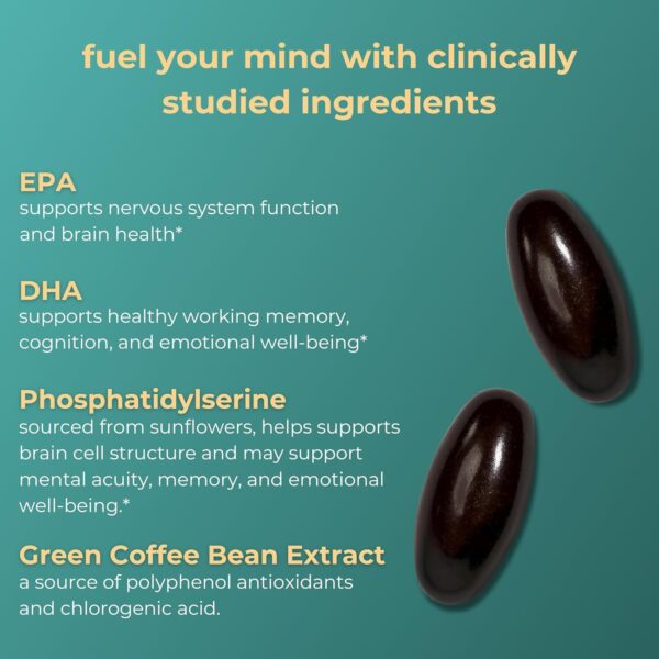 iwi life Brain Omega-3, 180 Softgels (90 Servings), Vegan Plant-Based Algae Omega-3 with EPA + DHA, Focus, Memory and Mood Support Dietary Supplement, Krill & Fish Oil Alternative, No Fishy Aftertaste