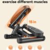 Niceday Twist Stepper for Exercise at Home, Mini Stair Stepper with Resistance Bands at Home Workout Equipment with 300LBS Loading Capacity, Hydraulic Fitness Stepper with LCD Monitor Gray