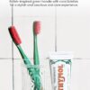 Euthymol Toothbrush (Regular, 6 Count) - Standard-Sized, Curved Soft Bristles for Sensitive Teeth, Gums. Effective, Gentle Cleaning for Entire Family.