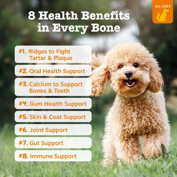 Zesty Paws Dental Bones - Fights Tartar & Plaque - Gum, Teeth & Bone Health - Cinnamon for Dog Breath - Immune, Joint, Gut, Skin & Coat Support - Omega 3 EPA & DHA and Calcium - Small Dogs - 28 ct…