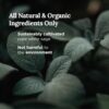 Magnificent 101 Sage Leaf Energy Cleansing Candle in 6-oz. Tin Holder: 100% Natural Soy Wax with Pure White Sage Leaves & Essential Oils for Smudging and Intention Setting; Great Housewarming Gift