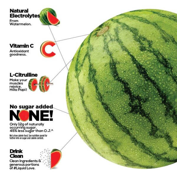 WTRMLN WTR | Cold Pressed Watermelon Water [Original HYDRATION]| Natural Electrolytes + Antioxidants | No Added Sugar | 12 oz bottle (Pack of 1)