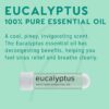 MOXĒ Eucalyptus Essential Oil Nasal Inhaler, Sinus & Congestion Relief, Daily Relaxation, Stress Relief, Therapeutic No-Mess Aromatherapy, Pure and Natural, Made in USA (3 Pack)