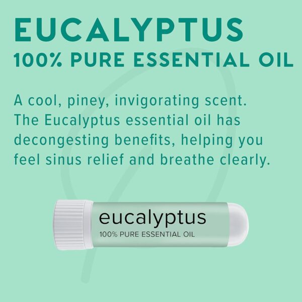 MOXĒ Eucalyptus Essential Oil Nasal Inhaler, Sinus & Congestion Relief, Daily Relaxation, Stress Relief, Therapeutic No-Mess Aromatherapy, Pure and Natural, Made in USA (3 Pack)