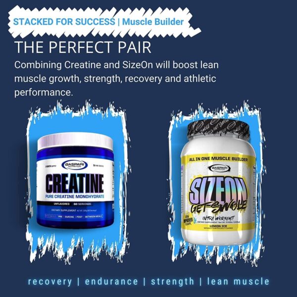 Gaspari Nutrition Pure Creatine Monohydrate, 5g of Pure Creatine, Boost Muscle and Size, Helps Increase Power and Anerobic Endurance (200 Servings, Unflavored)