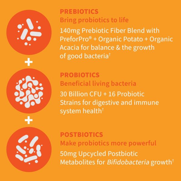 Garden of Life Dr Formulated Once Daily 3-in-1 Complete Probiotics, Prebiotics & Postbiotics - PRE + PRO + POSTBIOTIC Supplement for Adults’ Digestive & Immune Health, 30 Billion CFU, 30 Day Supply
