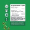 Green Tea Extract Capsules - Pure Extract - Weight Loss Pills - Burn Belly Fat - Metabolism Booster - Lose Weight Fast - for Men and Women Natural Detox Cleanse