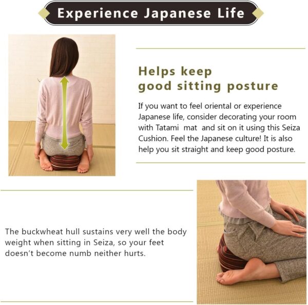 EMOOR Japanese Buckwheat Hulls Seiza Cushion Large 10x10x7in Made in Japan (Hemp-Leaves Blue), Natural Buckwheat Husks Sobagara Floor Sitting Pillow Tatami Cool Nap Side Sleepers