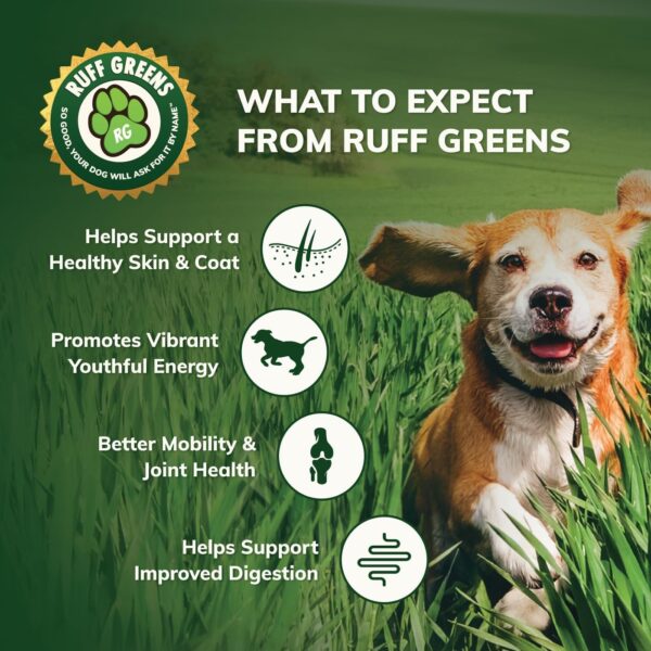 Ruff Greens K9 VitaSmart Vitamin & Mineral Supplement Nutritional Support for Dogs, 7.4 Ounce