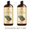Handcraft Blends Organic Castor Oil - 16 Fl Oz - 100% Pure and Natural - Premium Grade Carrier Oil for Hair Growth, Eyelashes and Eyebrows - Hair and Body - Expeller-Pressed & Hexane-Free