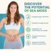Atlantic Naturals - 1 Day Colon Cleanse Full Body Detox Drink - Sea Moss Supplement for Women & Men, Gut Health, Kidney & Liver Immune Energy Enhancer Gut Cleanse - Lemon Flavor Juice, 8 fl oz