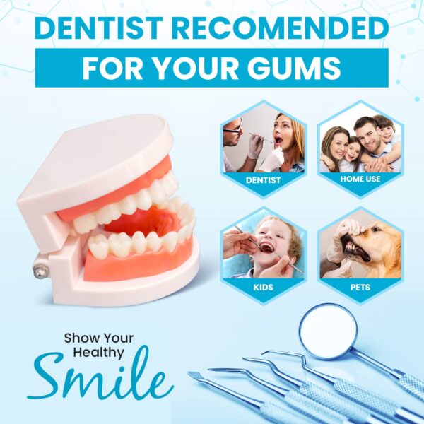 Dental Duty Dental Tools, Dental Pick for Teeth Cleaning Tools – Plaque Remover for Teeth with Teeth Cleaning Kit - Stainless Steel Dental Mirror for Teeth, Scraper and Scaler, (Aqua)