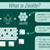 Zeolite Detox Gummies | Heavy Metal Detox Kids | Zeolite Detox for Kids | Heavy Metal Detox | Heavy Metal Detox for Adults | Chlorella | Vegan & Organic