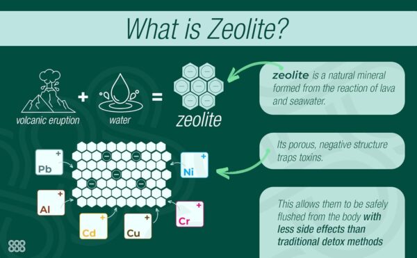 Zeolite Detox Gummies | Heavy Metal Detox Kids | Zeolite Detox for Kids | Heavy Metal Detox | Heavy Metal Detox for Adults | Chlorella | Vegan & Organic