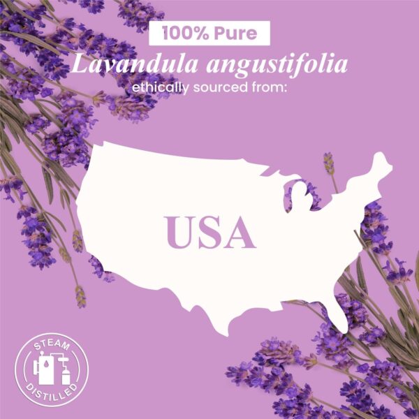 Lavender Essential Oil - Huge 4 Fl Oz - 100% Pure and Natural - Premium Grade Essential Oil for Diffuser and Aromatherapy