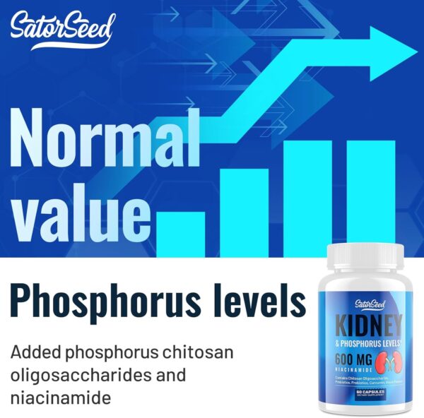 Kidney Support Supplement Cleanse Detox Kidney Chitosan Oligosaccharides Supplement, Niacinamide 600mg, Kidney & Phosphorus Levels, for Adult (2 Bottle)