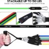 Resistance Bands Set 17pcs, Resistance Band, Exercise Bands Fitness Workout with Wide Handles, Door Anchor, Steel Clasp, Carry Bag, Ankle Straps for Home Gym Outdoor Travel