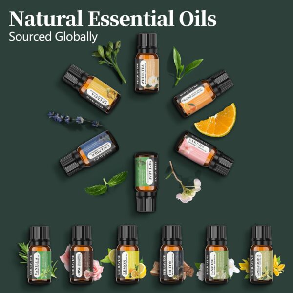 Natural Essential Oil Set, 12 Best Aromatherapy Diffuser Oils with Gift Box & Bag, Essential Oils for Diffusers for Home, Candle Making Scents -Lavender,Lemon,Orange,Vanilla,Jasmine,Rose, Peppermint